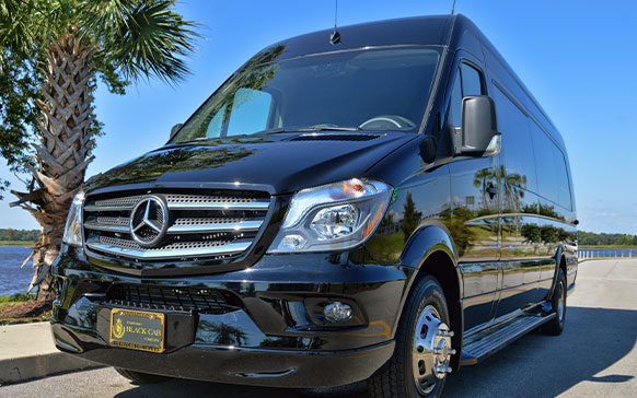 03 Our Fleet | Charleston Black Cab Company