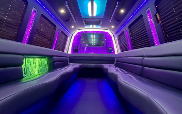 01 Our Fleet | Charleston Black Cab Company