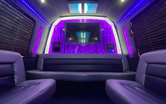 05 Our Fleet | Charleston Black Cab Company