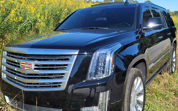 05 Our Fleet | Charleston Black Cab Company