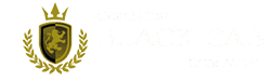 mobile-logo Charleston Wedding Transportation | Charleston Black Cab