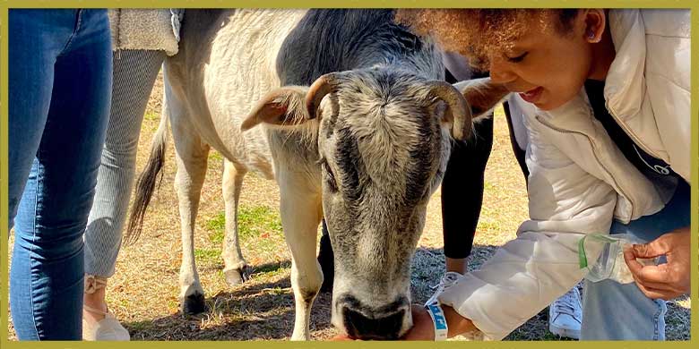 charleston-bachelorette-parties-02 Charleston Bachelorette Parties | Classy Party Options