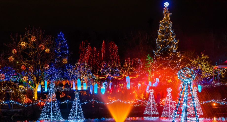 festivaLof_lights_01 Enchantment Awaits: 2023 Festival of Lights in Charleston