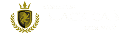 mobile-logo-2212424f Charleston Birthday Parties | Black Cab Party Bus